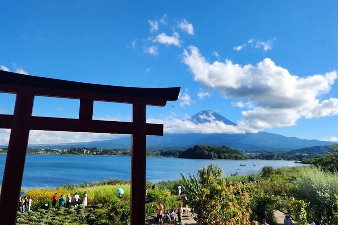 from-tokyo-mount-fuji-full-day-private-tour-with-english-guide