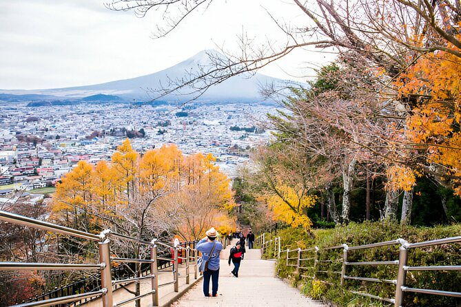 from-tokyo-mt-fuji-and-hakone-private-day-trip