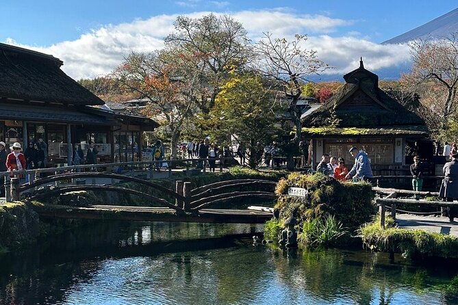 from-tokyo-mt-fuji-pvt-1-day-customized-tour-with-english-driver