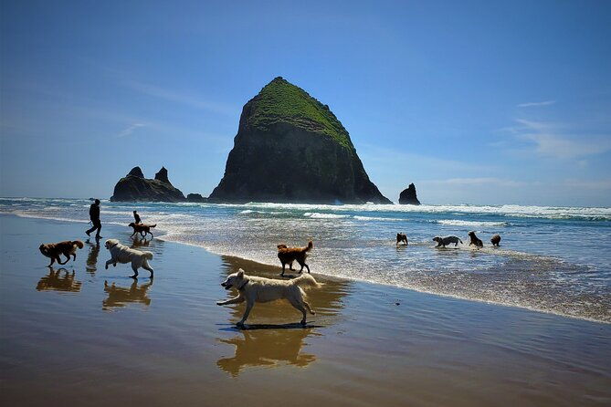 full-day-guided-oregon-coast-tour-from-portland