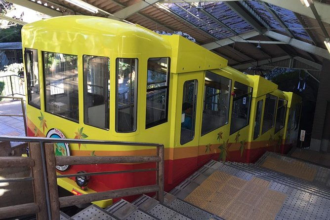 full-day-hiking-tour-at-mt-takao-including-hot-spring