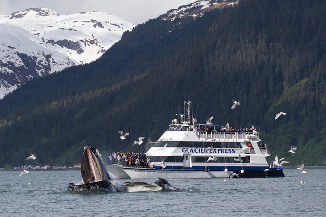 full-day-kenai-fjords-national-park-cruise