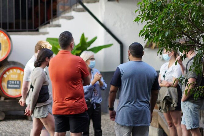 full-day-madeira-wine-tasting-tour-with-lunch