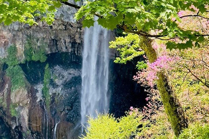 full-day-private-nikko-tour-from-tokyo-wd-english-speaking-driver
