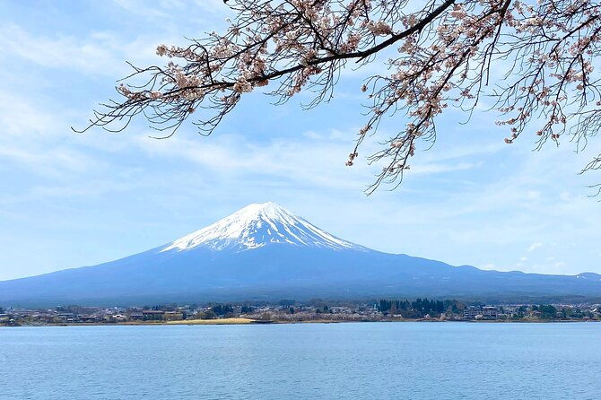 full-day-private-tour-to-mt-fuji-by-luxury-vehicle