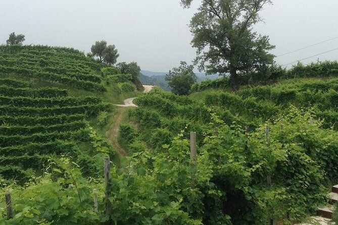 full-day-prosecco-wine-tasting-2-wineries-from-venice