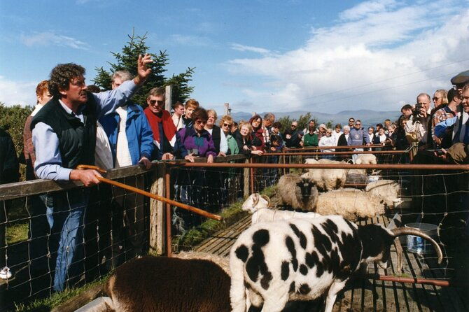 full-day-ring-of-kerry-tour-from-killarney