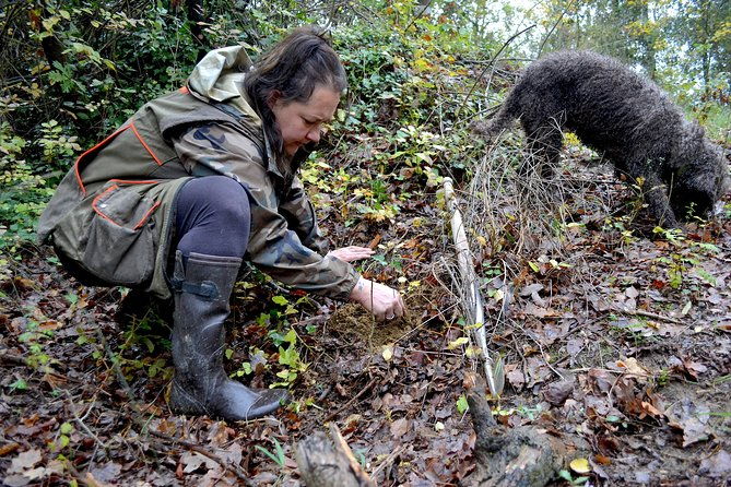 full-day-small-group-truffle-hunting-in-tuscany-with-lunch