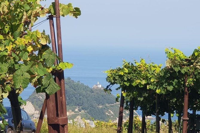 getaria-txakoli-wine-tour-with-hotel-pick-up-from-san-sebastian