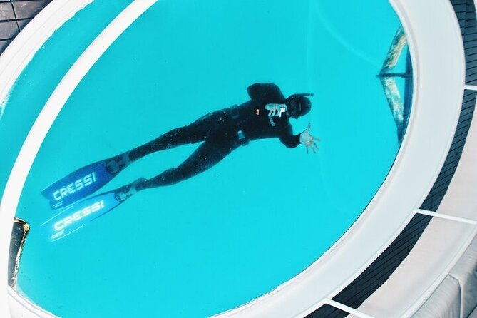 glass-bottom-boat-tour-snorkeling-in-sao-miguel-azores