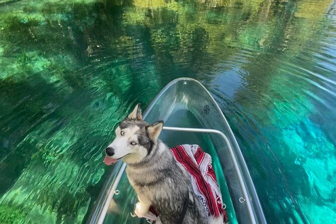 glass-bottom-kayak-tours-of-silver-springs