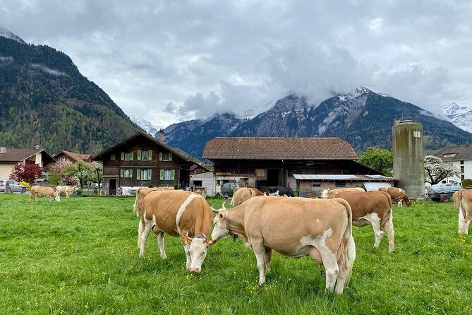 grindelwald-lauterbrunnen-murren-private-day-trip-from-zurich