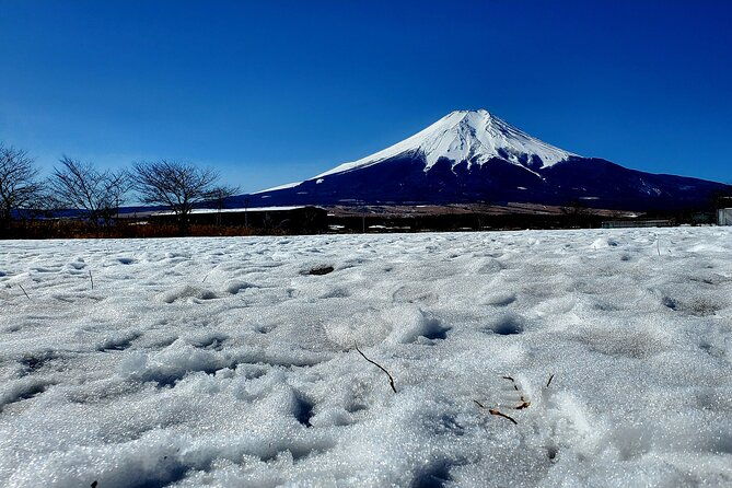 guided-private-mt-fuji-and-hakone-tour-green-number-plates