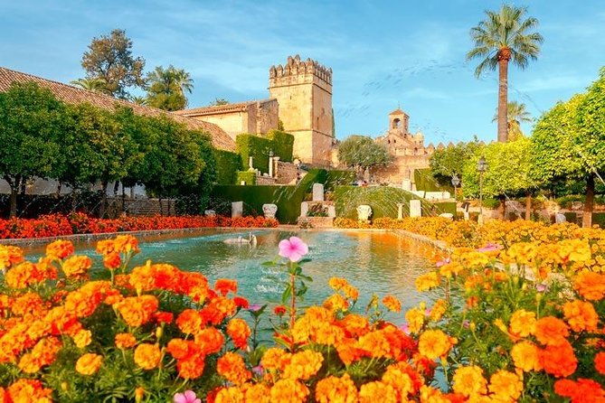 guided-visit-to-the-mosque-cathedral-jewish-quarter-alcazar-and-synagogue-official-guide