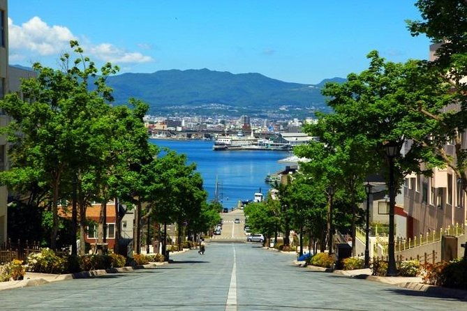 hakodate-4hr-private-tour-with-government-licensed-guide