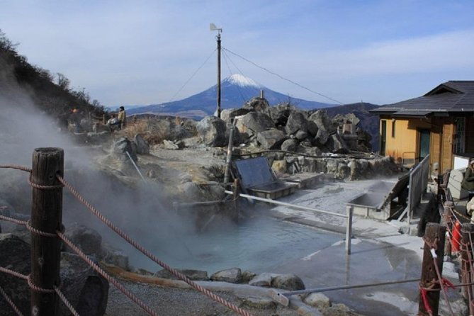 hakone-full-day-private-tour-by-public-transportation