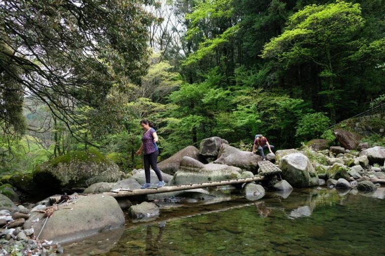 hakone-hachiri-old-tokaido-highway-hiking-half-day-tour
