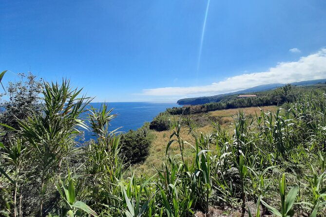 half-day-hike-waterfalls-moinho-do-felix-with-tea-plantation