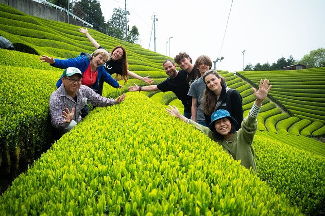 half-day-nara-and-matcha-farm-private-van-tour