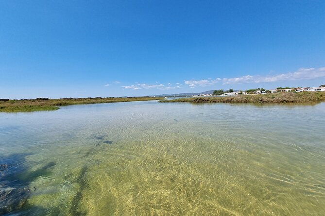 half-day-private-guided-kayak-island-tour