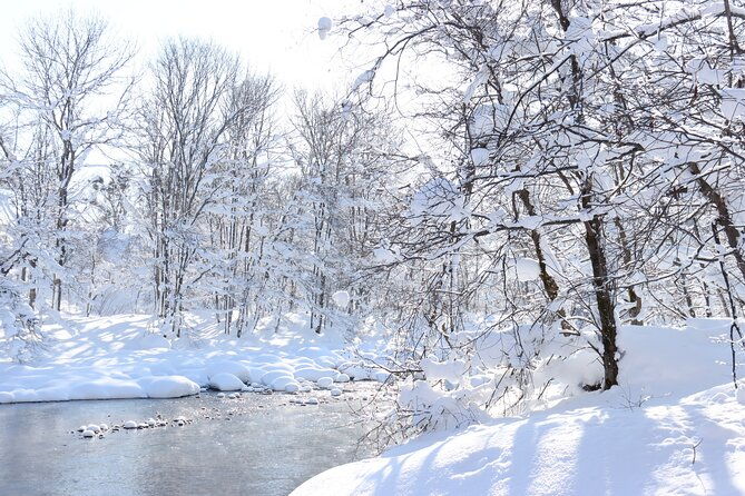 half-day-snow-view-rafting-in-niseko