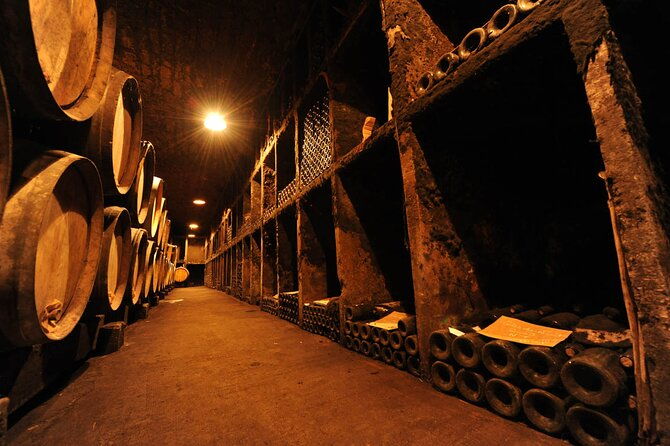 half-day-tour-of-the-cote-de-nuits-vineyards-from-dijon