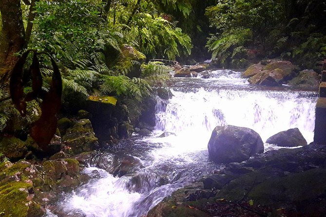 hidden-corners-levada-walk-from-funchal