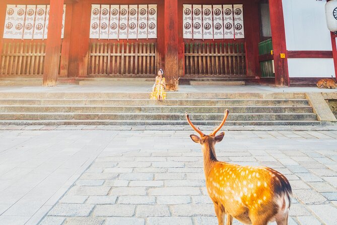 hidden-temples-in-kyoto-a-self-guided-zen-tour
