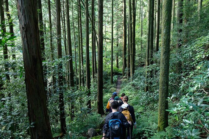 hike-japan-heritage-hakone-hachiri-half-day