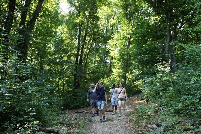 hiking-in-budapest