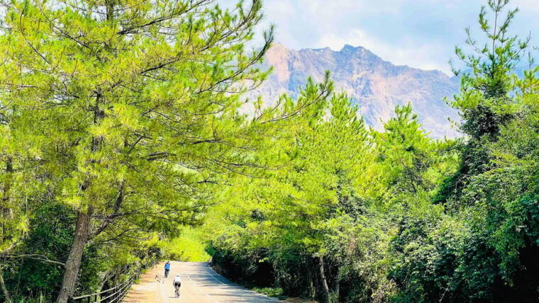 historical-hill-climb-e-bike-tour-to-sakurajimas-peak