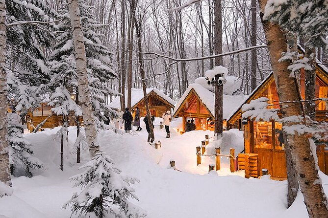 hokkaido-day-trip-from-sapporo-asahiyama-zoo-to-ningle-terrace