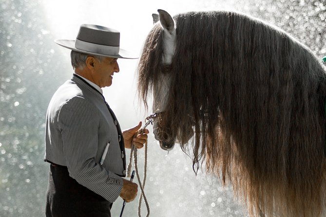 horse-and-flamenco-show-in-malaga