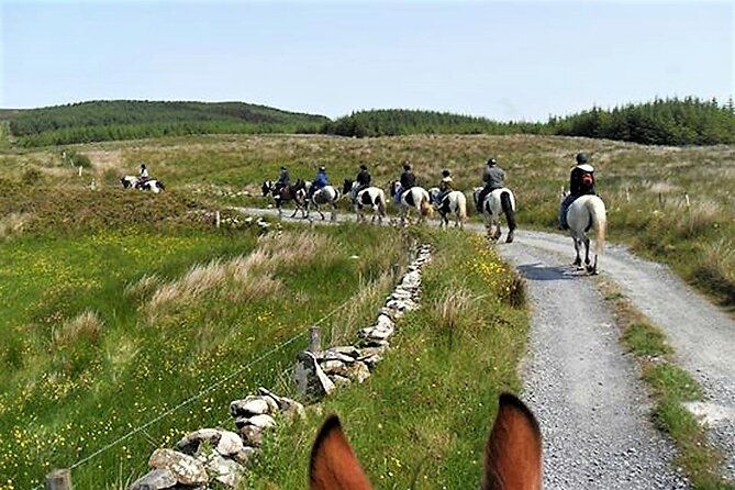 horse-riding-dirt-trek-trail-lisdoonvarna-clare-guided-1-hour