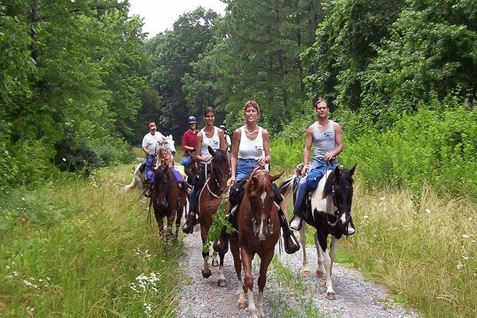 horse-riding-from-kusadasi-port-hotels