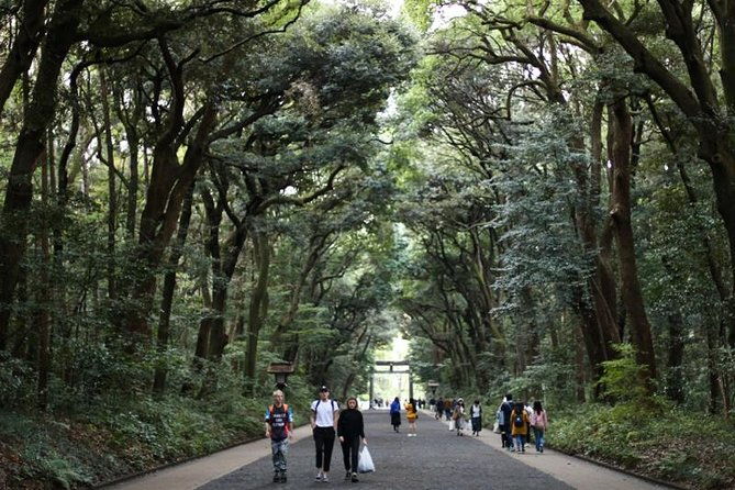 japan-autumn-winter-illuminations-discovery-tour-12-days