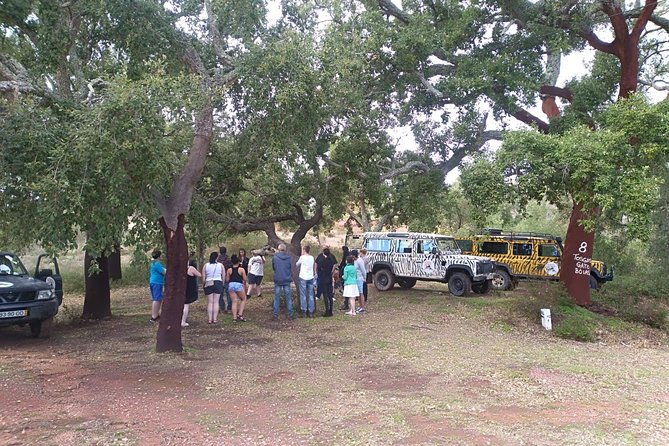 jeep-safari-tour-half-day