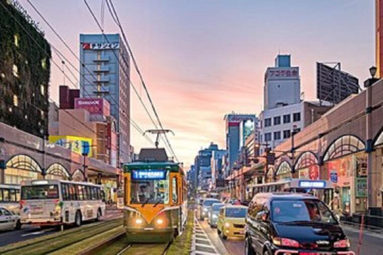 kagoshima-half-day-sightseeing-tour
