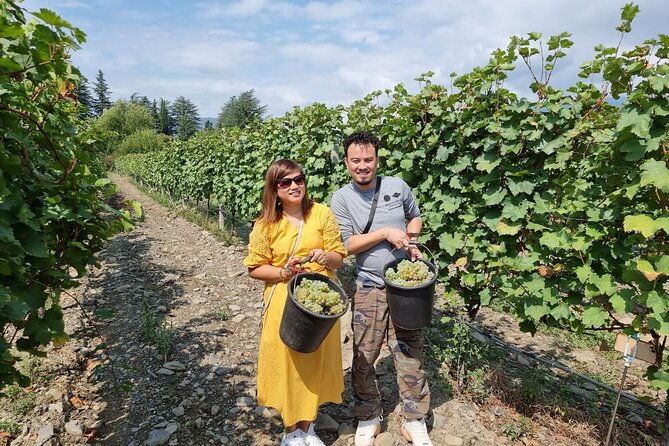kakheti-small-wineries-and-family-cooked-lunch-private-tour