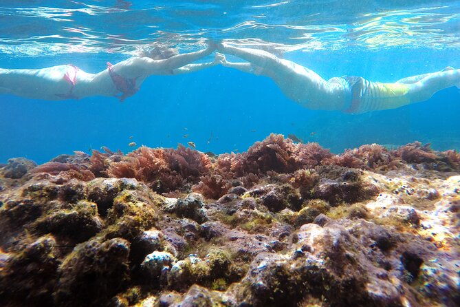 kayak-and-snorkeling-tour-in-underwater-nature-reserve-garajau