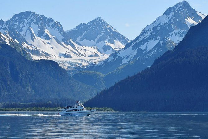 kenai-fjords-and-resurrection-bay-half-day-wildlife-cruise