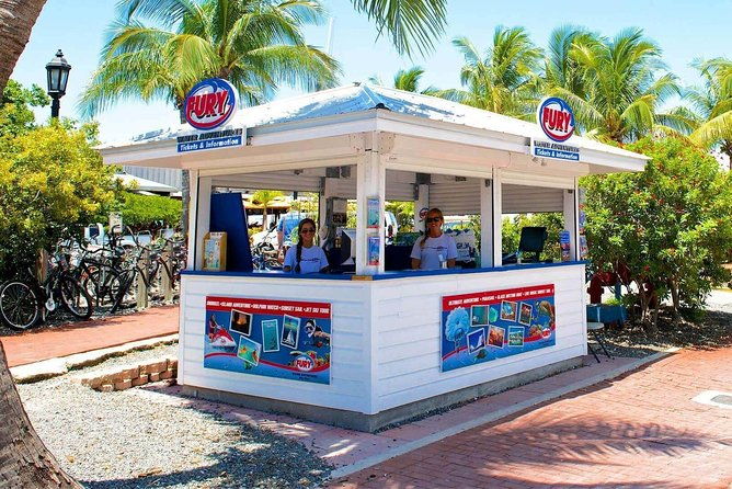 key-west-dolphin-watch-and-snorkel-tour-eco-adventure