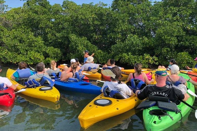 key-west-mangrove-kayak-eco-tour