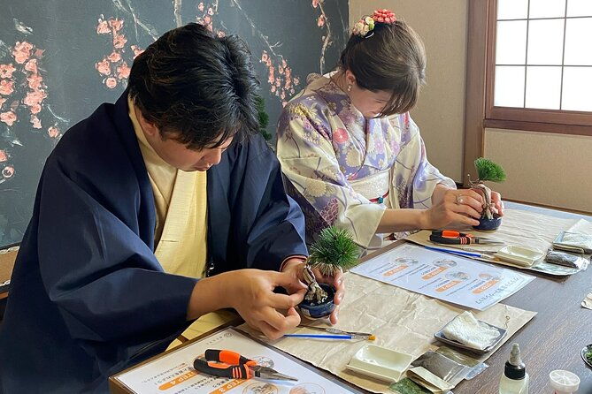 kimono-tea-experience-and-handcraft-bonsai-in-hakone-gora