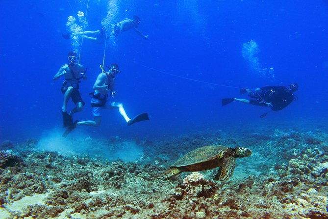 ko-olina-catamaran-sail-and-snorkel