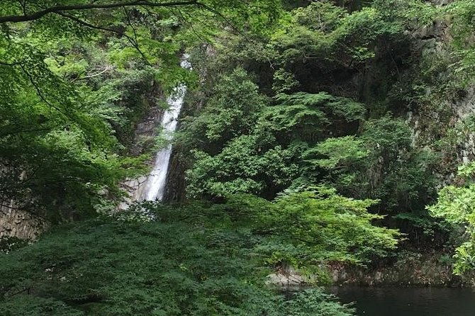 kobe-private-tour-from-osaka-shore-excursion-available-from-osaka-or-kobe-port