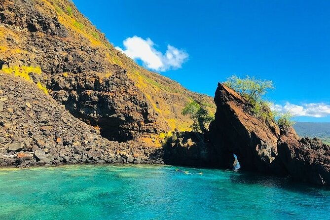 kona-wild-dolphin-sea-cave-captain-cook-reef-snorkel-adventure