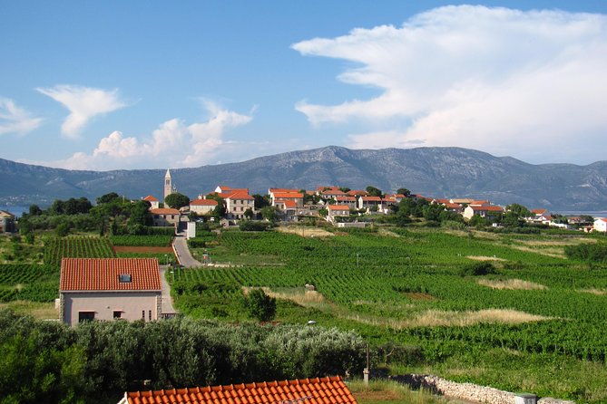 korcula-bike-wine-tour-mountain-bike-tour