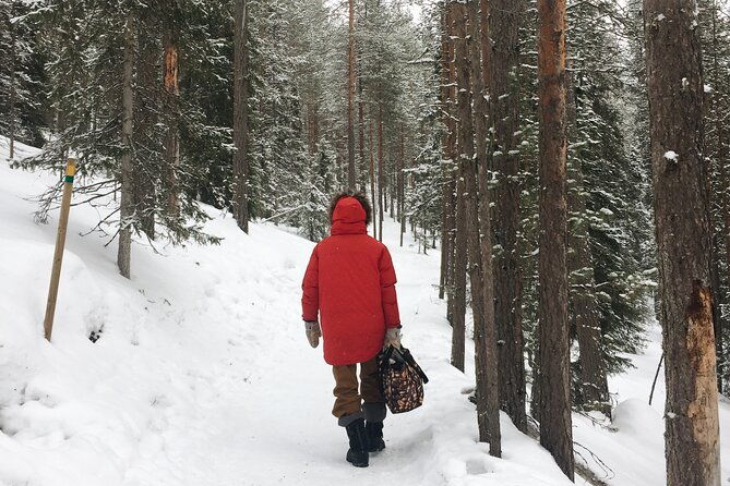 korouoma-national-park-and-frozen-waterfalls-hiking-tour
