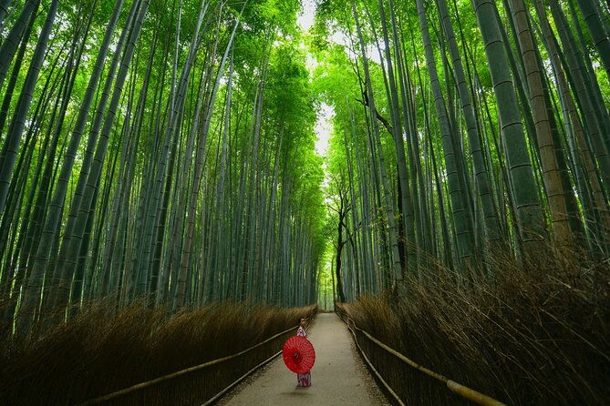 kyoto-arashiyama-bamboo-temple-matcha-monkeys-secret-spots